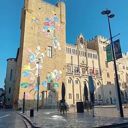 شقة Terrasse Vue Cathedrale ناربون